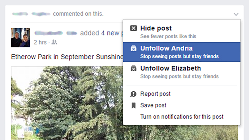Illustration for article titled How to Control Your Facebook News Feed